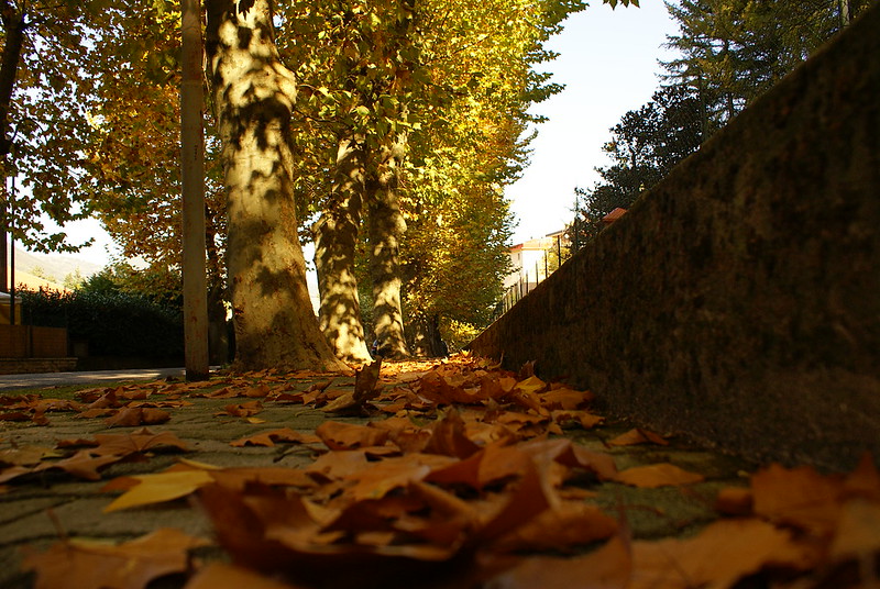 autunno manutenzione grondaie